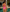 Mauritius Cut-Out One-Piece Swimsuit