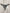 Maldives Zebra Print Underwire Bra Bikini Set