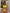 Marbella Lux Neon Chain Underwire Bra Bikini Set