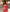 Mallorca Front-Tie Ribbed Bikini Set