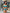 Maldives Ribbed Underwire Bra Bikini Set