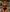 Mauritius Cut-Out One-Piece Swimsuit