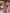 Monaco Luxury Sheer Silk Chiffon Beach Dress in Blush