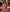 Mauritius Cut-Out One-Piece Swimsuit