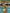 Rio Shimmer Triangle Tie-Side Bikini Set