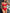 Mykonos Shimmer Ribbed Hot Pants Bra Bikini Set in Red
