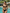 Tulum Shimmer Triangle Bikini Set