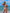 Rio Strelitzia Triangle Ruched Tie-Side Reversible Bikini Set