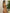 Marbella Lux Ribbed Shimmer Chain Underwire Bra Bikini Set