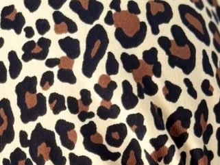 S / Leopard