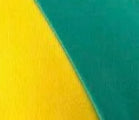Bicolor Green / S