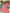 Monaco Beach Dress in Floral Sheer Silk Chiffon