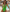 Santorini Deep V-Cut One-Piece Swimsuit