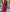 Monaco Cross-Neck One-Piece