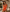 Santorini Deep V-Cut One-Piece Swimsuit